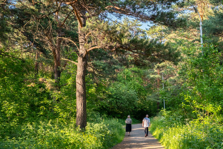 Man and Woman Walk on Forest Path Amidst Lush Green Trees and Foliage During Summer Day.の写真素材