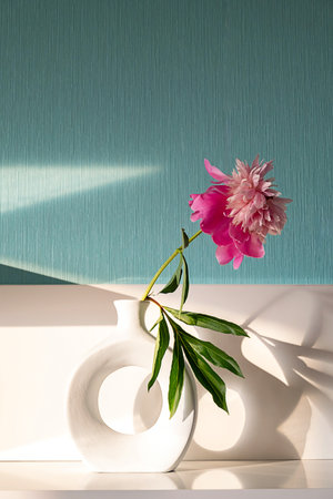 Pink Peony Flower in White Abstract Vase against Blue Wall. Spring Blossom for Home Decoration.の写真素材