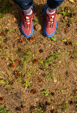 Woman wearing active shoes on forest ground. Healthy lifestyle shoes, hiking sneakers on natural trail with pine needles.の写真素材