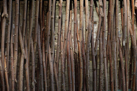 Brown wooden sticks fence texture. Natural organic background. Rustic garden screen material.の写真素材