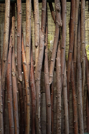 Natural wooden sticks fence background with a mesh grid. Organic rustic texture for backdrop.の写真素材