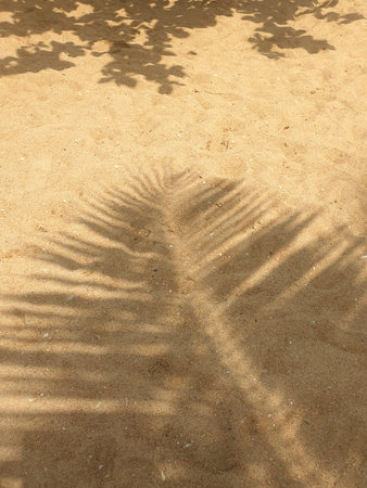 Palm leaf shadow on a sandy shore. Summer vacation background. Tropical destination for holiday and...