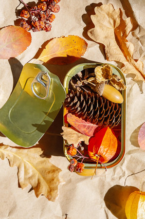 Opened tin can filled with dry leaves, pine cones and physalis. Creative autumn concept for seasonal design.の写真素材