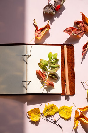 Open notebook with autumn leaves and pen on pink surface. Fall season flat lay with warm sunlight shadows. Design for October and November.の写真素材