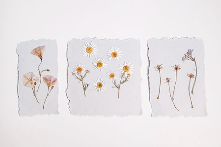Three handmade paper pieces with pressed dried flowers and leaves, creating a unique botanical display. Flat lay composition for nature art.の写真素材