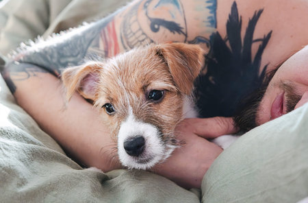 Puppy laying on man arm with tattoos, concept of comfort, companionship, and pet ownership.