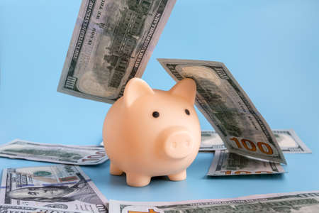 A piggy bank stands on a blue background, one hundred dollar bills fly behind. High quality photoの写真素材
