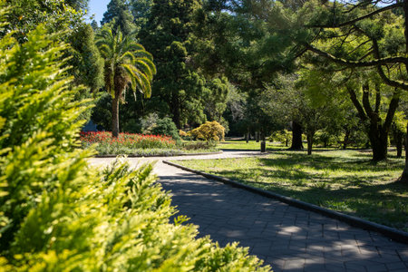 Batumi botanical garden. Georgia, Adjaraの写真素材