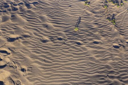 Beautiful dark beige glitter sand pattern left after ocean water. Canarian islandの写真素材