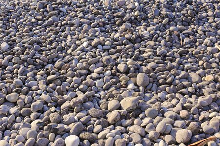 Nature background from gray sea pebbles. Beachの写真素材
