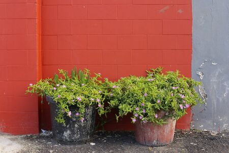 Mediterranean house exterior, traditional architectureの写真素材