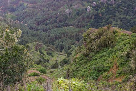 Scenery valley in Spain.Nature landscape.Travel adventures and outdoor lifestyle.Masca valley.Canary island.Scenic mountain landscape.Cactus,vegetation and sunset panorama in Tenerifeの写真素材