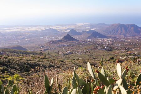 Scenery valley in Spain.Nature landscape.Travel adventures and outdoor lifestyle.Masca valley.Canary island.Scenic mountain landscape.Cactus,vegetation and sunset panorama in Tenerifeの写真素材