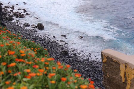 Mountain sea shore flower bush landscape.の写真素材