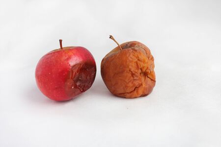 two rotten apple isolated on a white background. infectionの写真素材