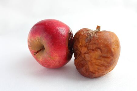 two rotten apple isolated on a white background. infectionの写真素材