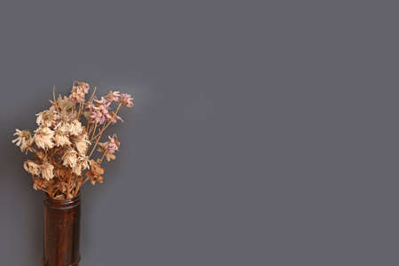 designer vase with dried flowers on a gray background. Concept: dead flowersの写真素材
