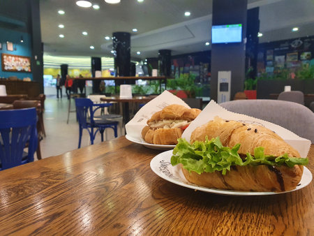 Beautiful croissant with salmon, cheese, avocado, lettuce isolated on a white plate, on a table, in a cafe in a mallの写真素材