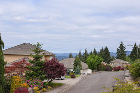 A perfect neighbourhood. Houses in suburbs at Summer in the north America. Luxury houses with nice landscape.の写真素材