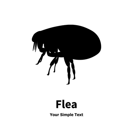 Vector illustration of black fleas. Isolated silhouette on a white background.のイラスト素材
