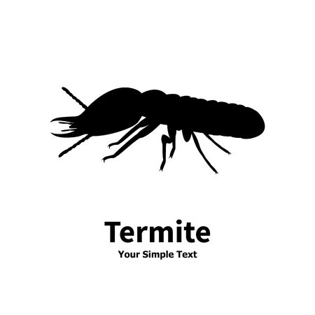Vector illustration of a silhouette of a termite on an isolated white background. Termite side view profile. The insect lives in the house.のイラスト素材
