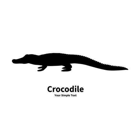 Vector illustration of black silhouette of crocodile isolated on white background. Croc side view profile.のイラスト素材