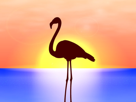 Vector silhouette flamingo on a background sunsetのイラスト素材