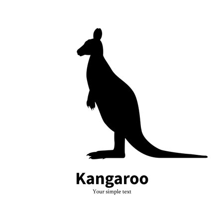 Vector illustration black silhouette kangarooのイラスト素材