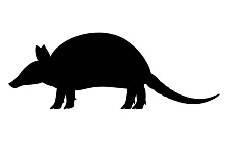Vector illustration black silhouette armadilloのイラスト素材