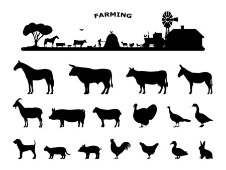 Set silhouettes domestic farm animalsのイラスト素材