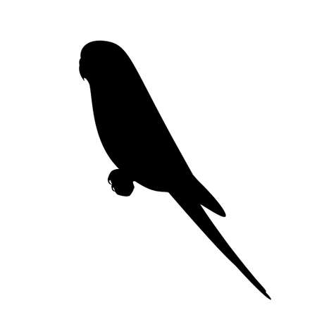 Silhouette of a sitting budgieのイラスト素材