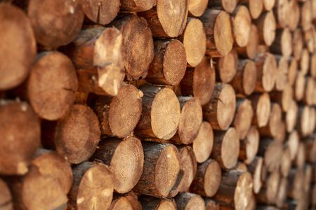 Folded logsの写真素材