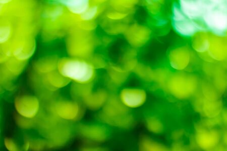 Green bokeh background. Green bokeh. Green bokeh abstract, defocused.の写真素材