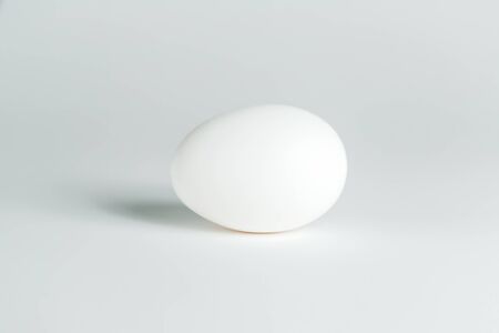 chicken egg on a white backgroundの写真素材
