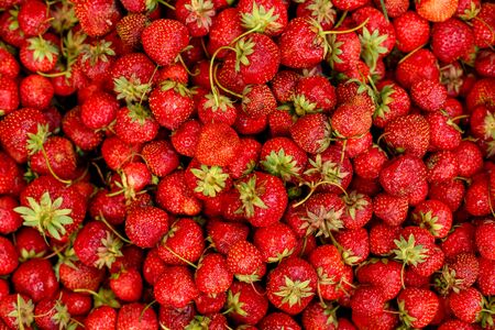 texture for the background, lots of strawberry berries. Wallpaperの写真素材
