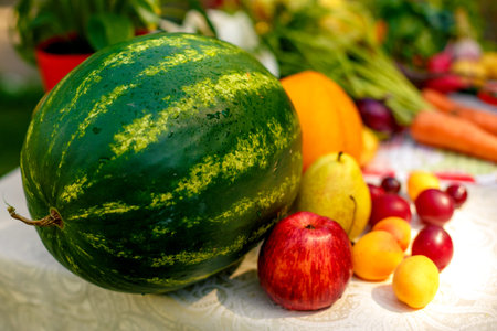 fresh fruit on the table (watermelon, apple, pear, peaches and plums) on the table outsideの写真素材