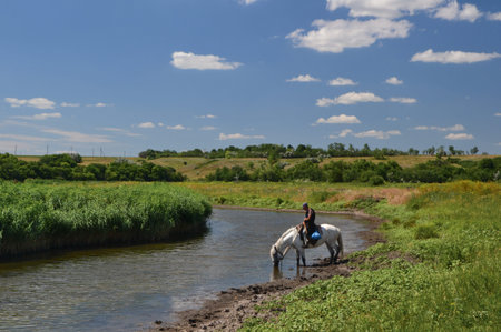 a man on a white horse who drinks water from a river among green fields and hillsのeditorial素材