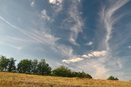 blue sky background with a tiny clouds, yellow grass and green treesの写真素材