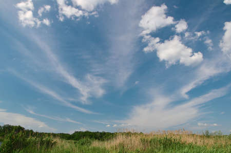 blue sky background with a tiny clouds and grass in the field, place for contentの写真素材