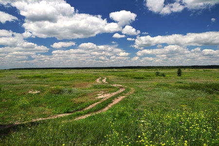 country road in grassy meadow and deep blue sky with cloudsの写真素材