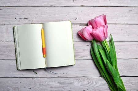 Flat lay with open book with empty pages, pen and pink tulips for invitation or congratulations on white wooden rustic background. Top view, copy space.の写真素材