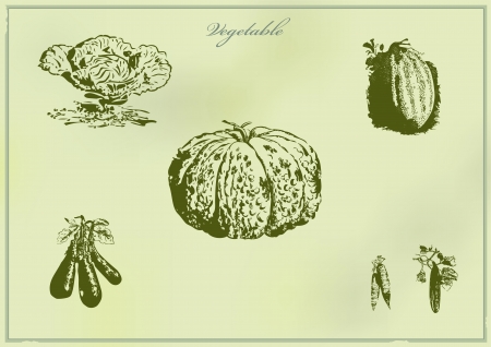 vintage collection of different vegetables  のイラスト素材