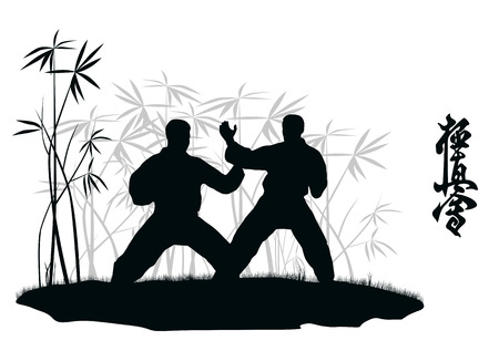 Two men are engaged karate, an illustration.のイラスト素材