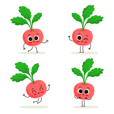 Radish. Cute vegetable vector character set isolated on whiteのイラスト素材