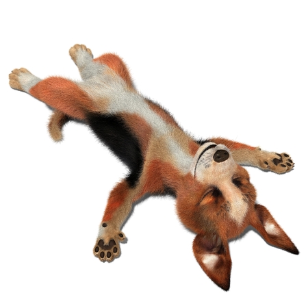 Dog sleeps on the floor. 3D illustration. Isolated white backgroundの写真素材