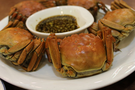 Hairy crabsの写真素材