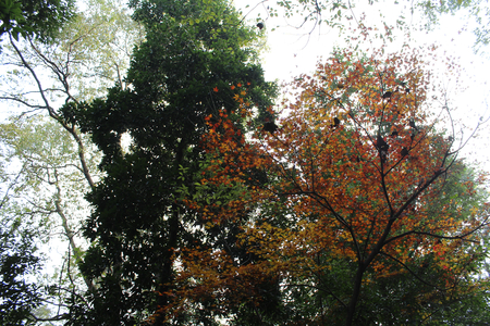 Storied dyeの写真素材