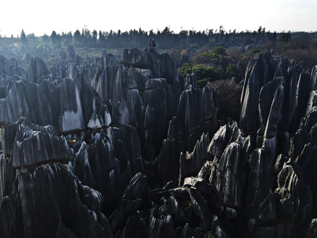 Stone forest sceneryの写真素材