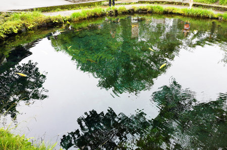 The scenery of Nagano's eight seas in Tokyo, Japan.の写真素材