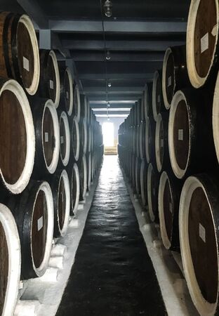 Rows of an old oak barrel with alcohol (cognac, whiskey, wine, brandy)の写真素材